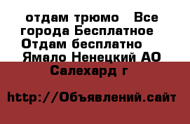 отдам трюмо - Все города Бесплатное » Отдам бесплатно   . Ямало-Ненецкий АО,Салехард г.